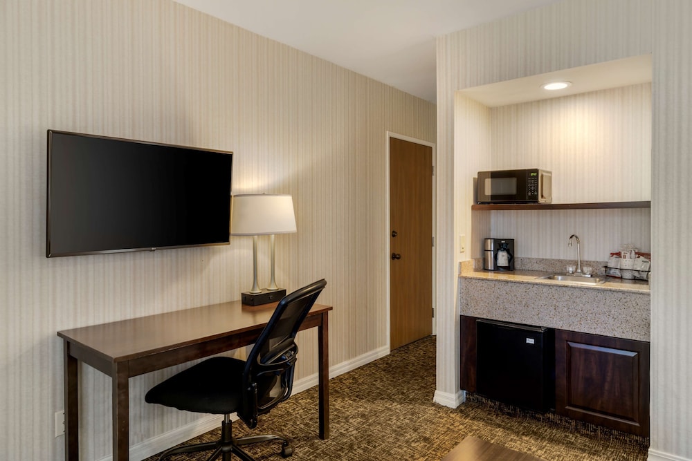 Suite, 1 King Bed, Non Smoking, Refrigerator & Microwave (with Sofabed) - Photo 1