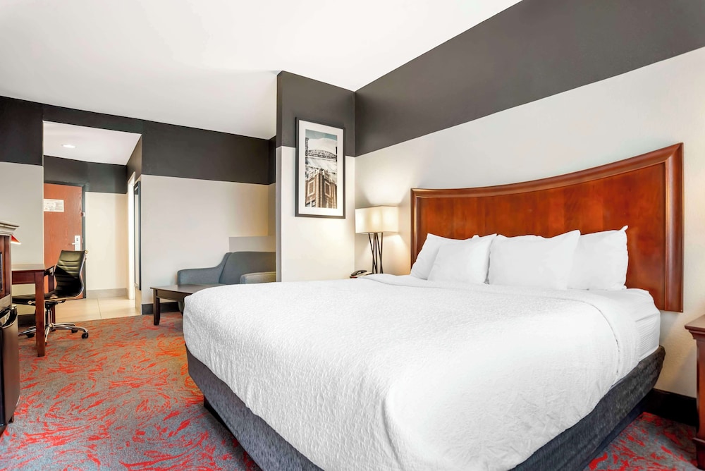 Suite, 1 King Bed, Non Smoking, Refrigerator & Microwave (with Single Sofabed) - Photo 2