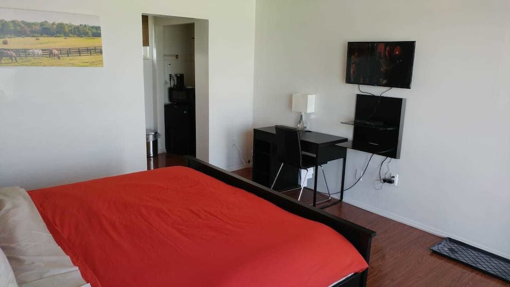 Standard Room, 1 King Bed, Non Smoking photo 2