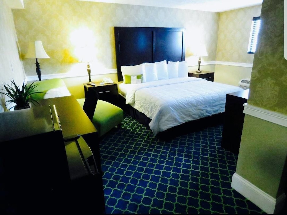Deluxe Room, 1 King Bed, Non Smoking - Photo 1
