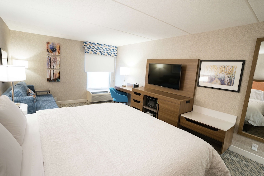Room, 1 King Bed, Accessible (Hearing, Study) - Photo 1