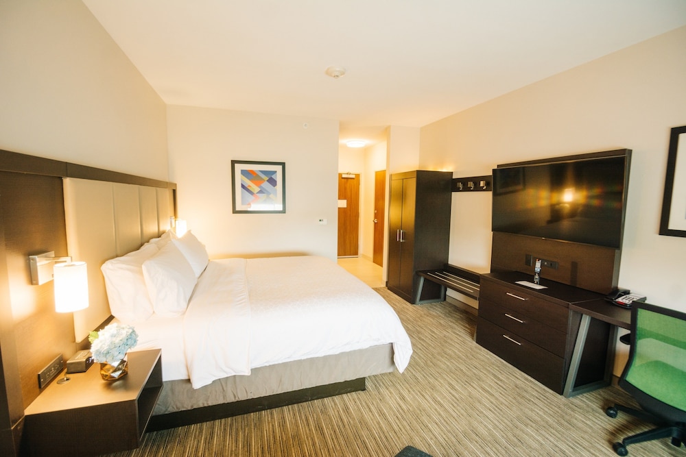 Standard Room, 1 King Bed, Mobility Accessible (Communications, Accessible Tub) photo 2