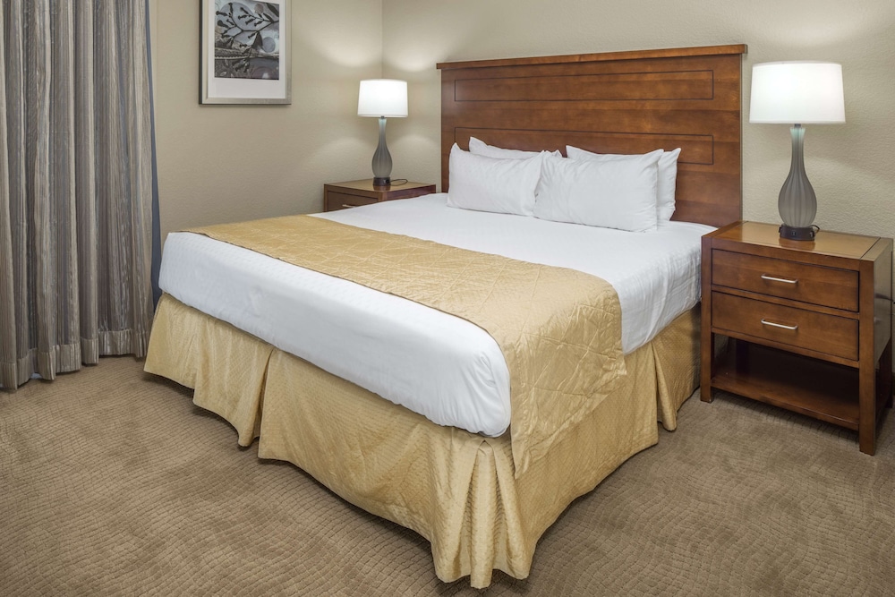 1 BEDROOM 1 KING SUITE WITH SOFABED - Photo 1