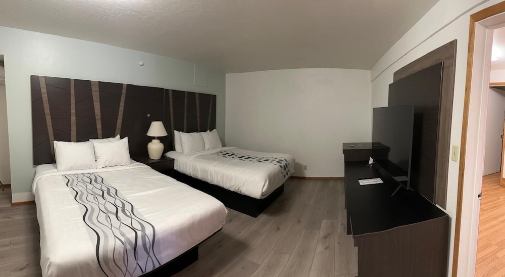 Comfort Double or Twin Room photo 2