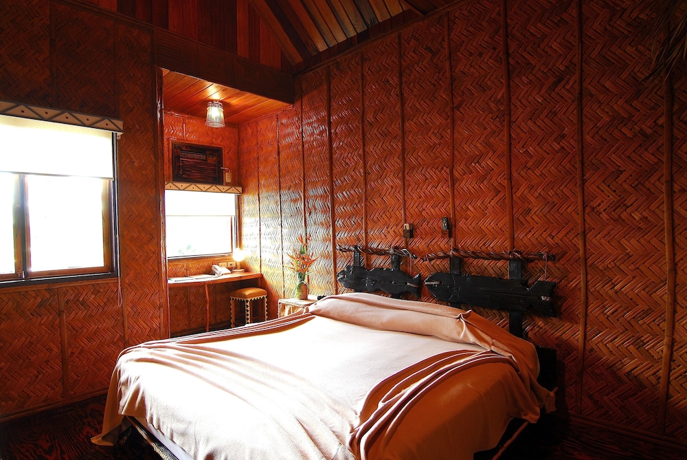 Premium Cabin