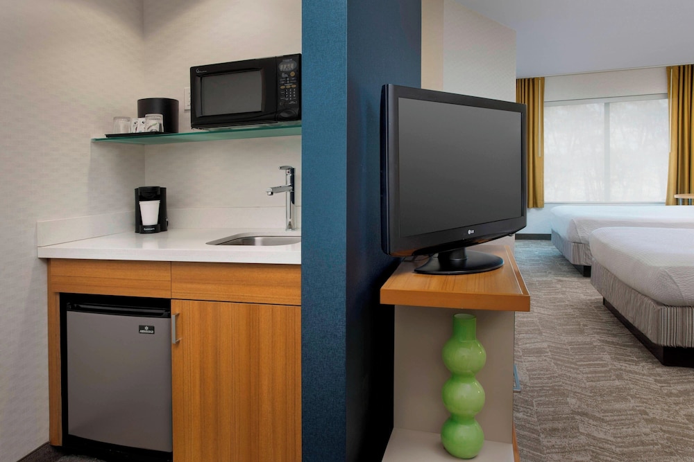 Studio, Multiple Beds (Mobility/Hearing Accessible, Tub) photo 2