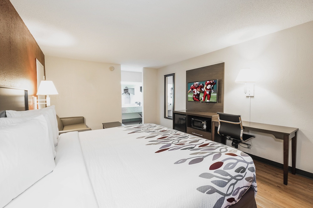 Standard Room, 1 King Bed, Accessible, Non Smoking (Roll-In Shower) photo 1