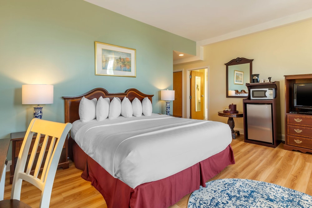 Premier Room, 1 King Bed photo 2