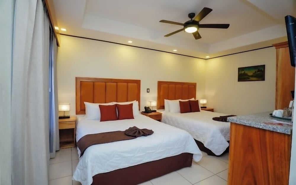Bromelia 2 Beds - Photo 4
