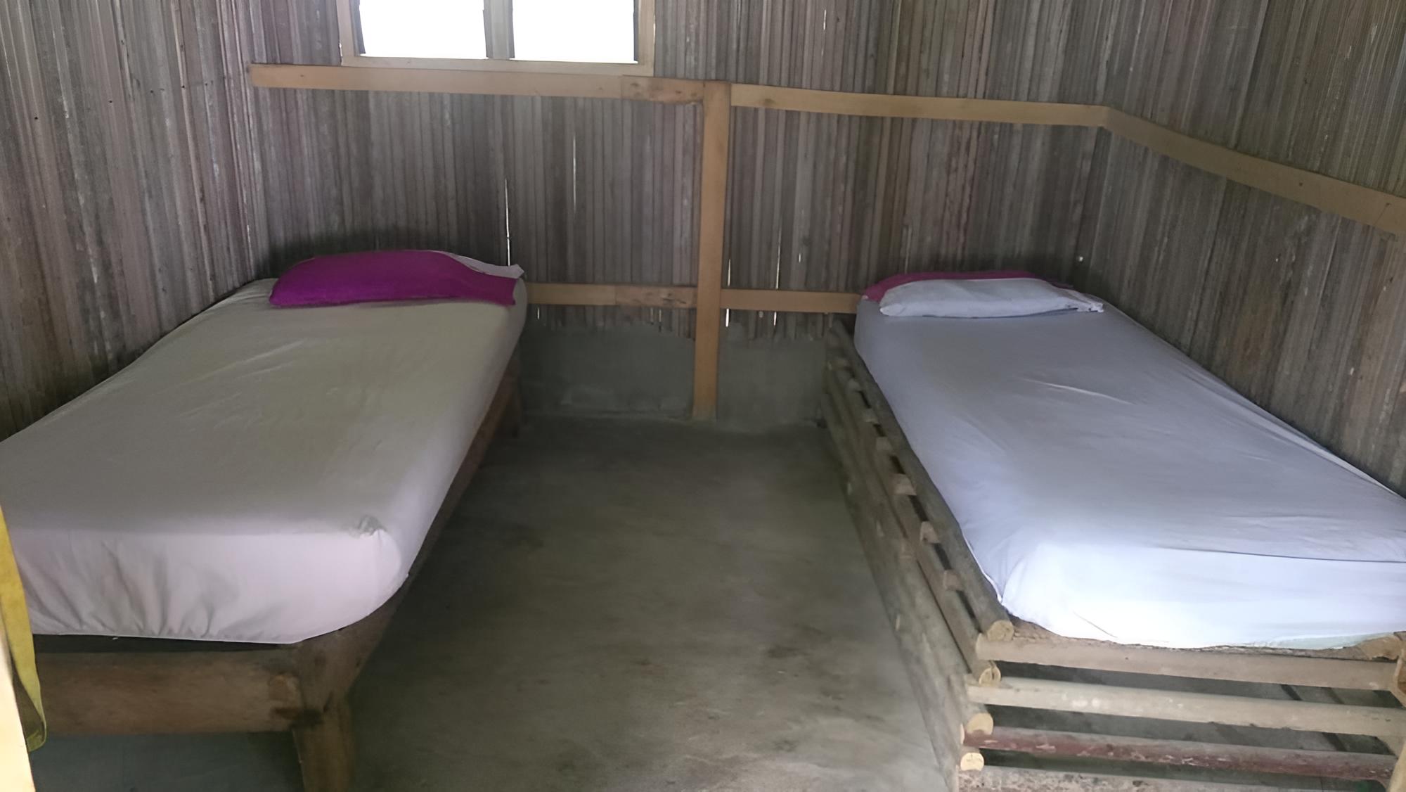 Double or Twin Room photo 2