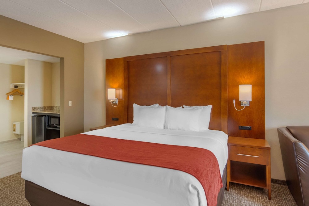 Studio Suite, 1 King Bed with Sofa bed, Accessible (Mobility and Hearing Accessible) - Photo 8