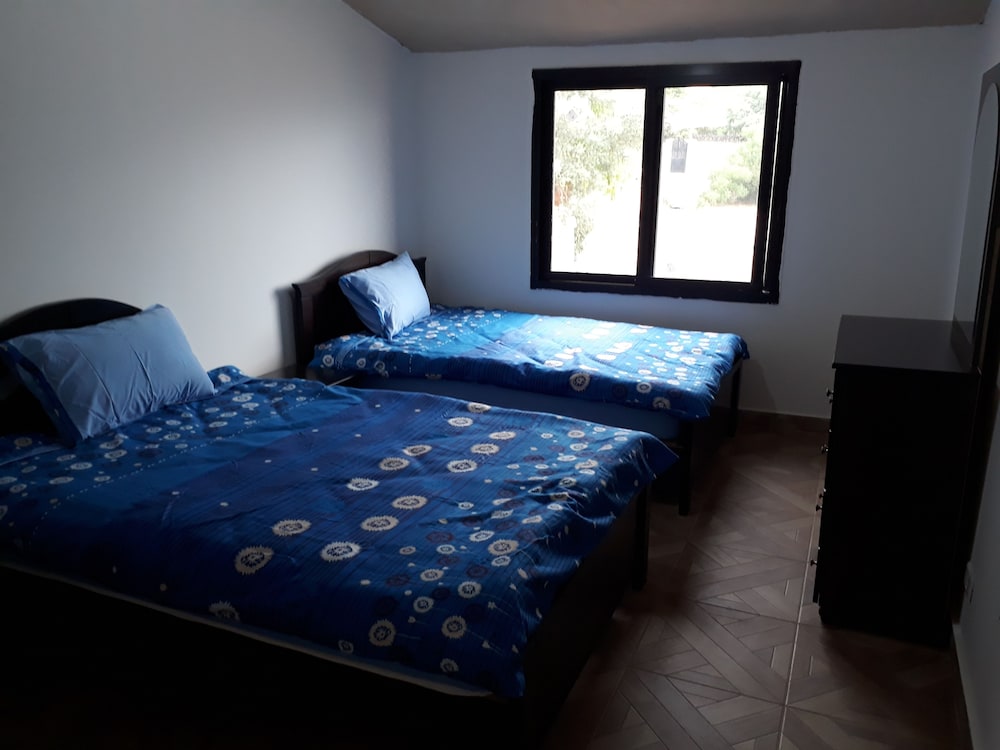 Grand Suite photo 3