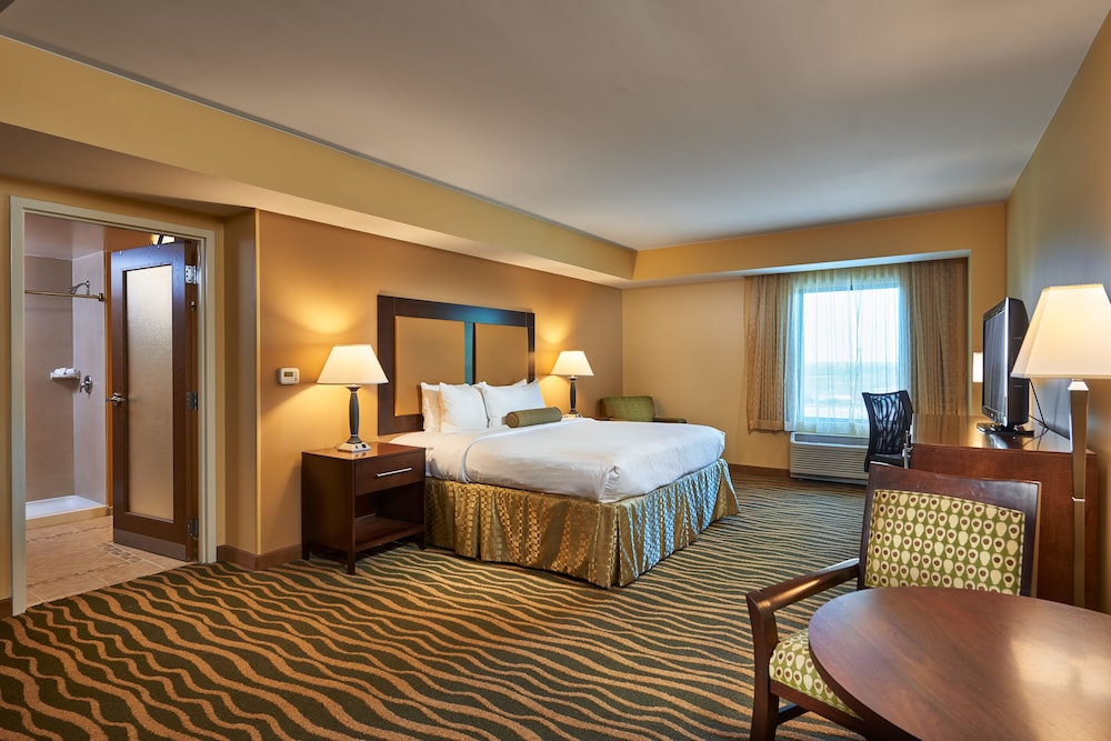 Executive Suite, 1 King Bed, Non Smoking photo 3