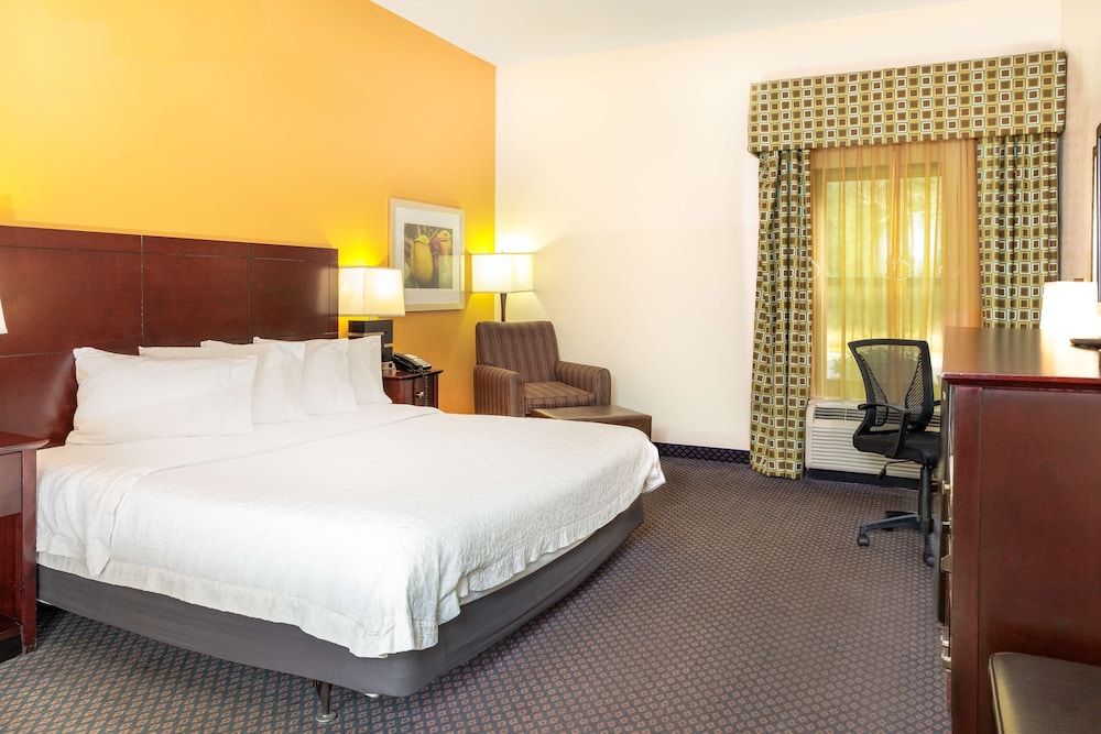 Room, 1 King Bed, Accessible, Non Smoking - Photo 1
