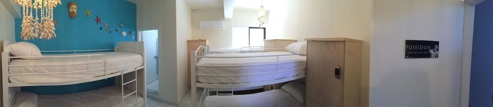 Deluxe Shared Dormitory (4 beds)