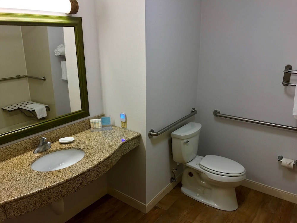 Room, 1 King Bed, Accessible, Non Smoking - Photo 5