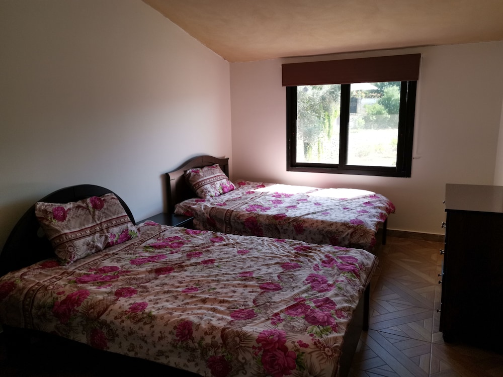 Grand Suite photo 1