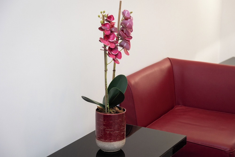 Family Suite - Photo 9