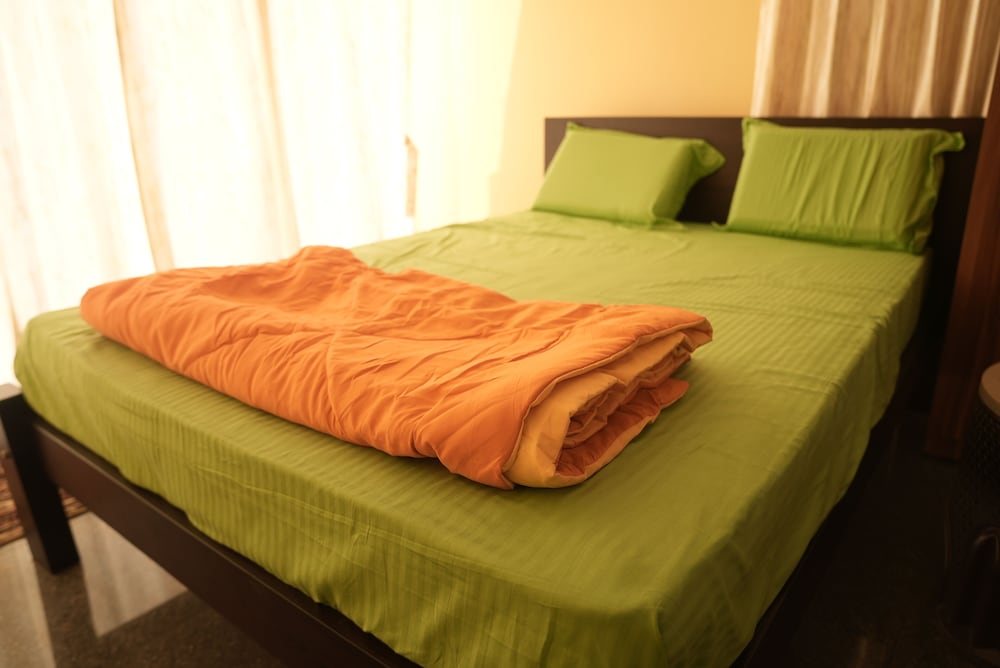 Deluxe Room - Photo 5