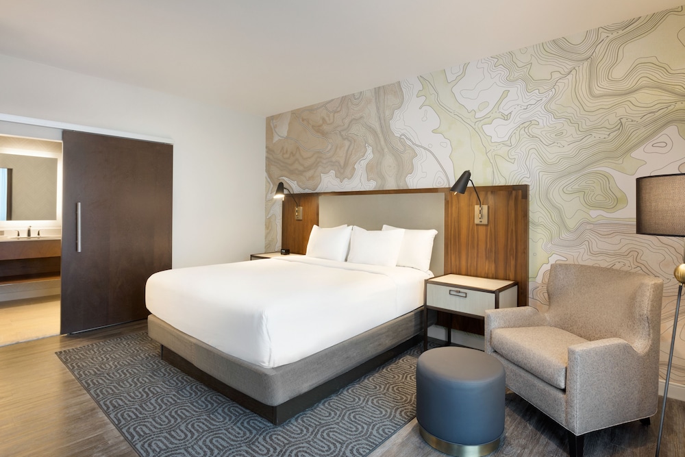 Suite, 1 King Bed photo 2