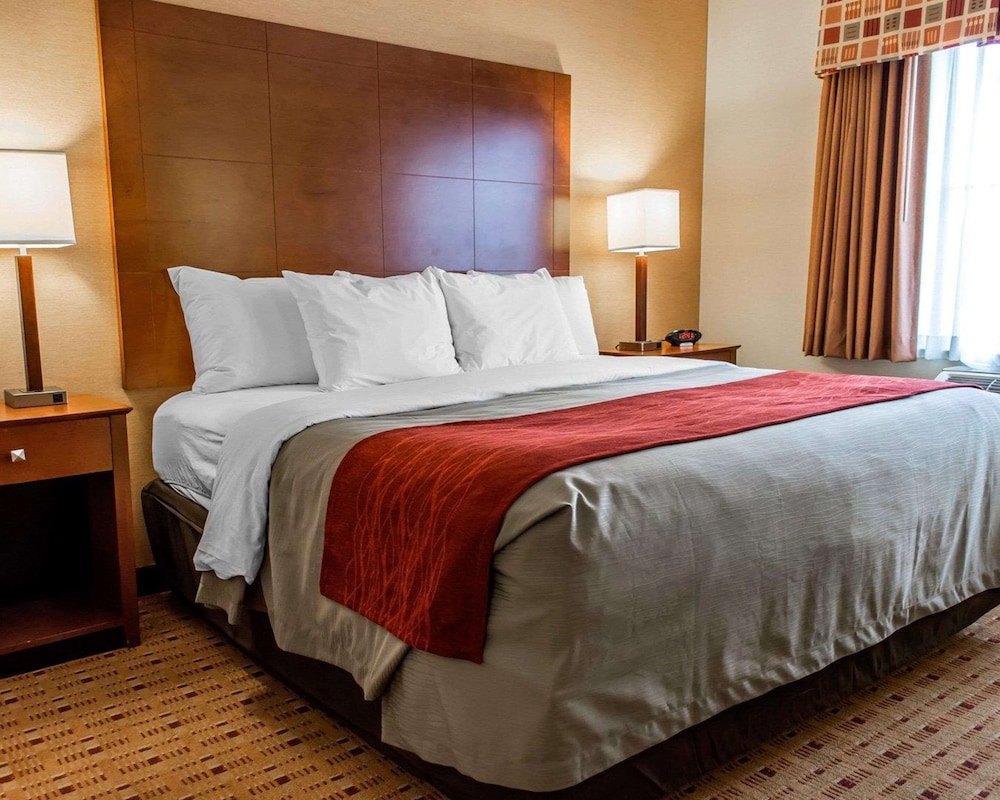 Suite, 1 King Bed with Sofa bed, Non Smoking - Photo 1