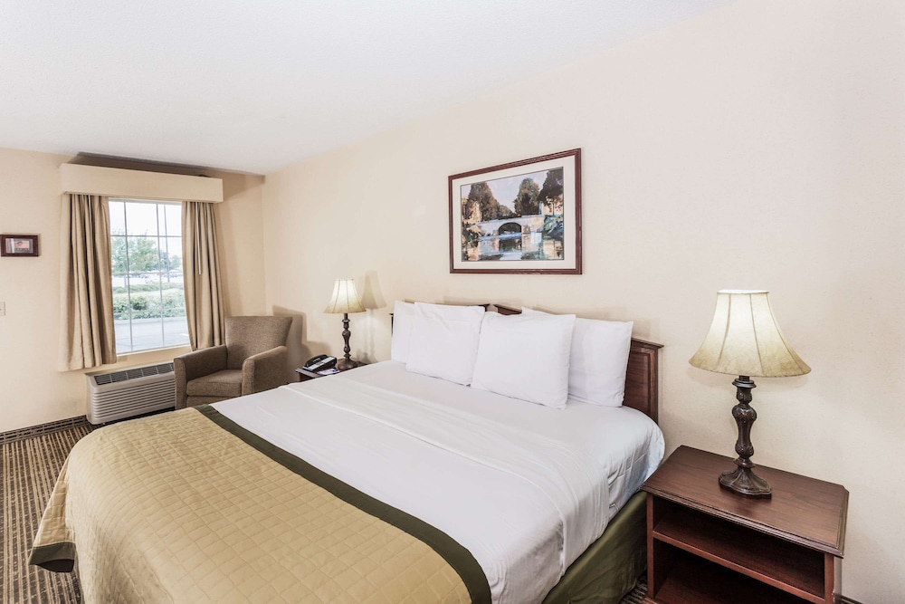 Room, 1 King Bed, Non Smoking - Photo 1