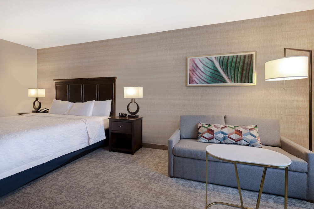Studio Suite, 1 King Bed, Non Smoking - Photo 4
