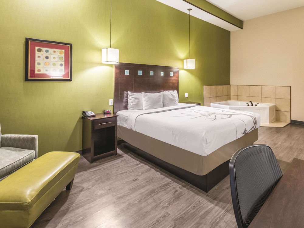 Room, 1 King Bed, Non Smoking, Jetted Tub - Photo 1
