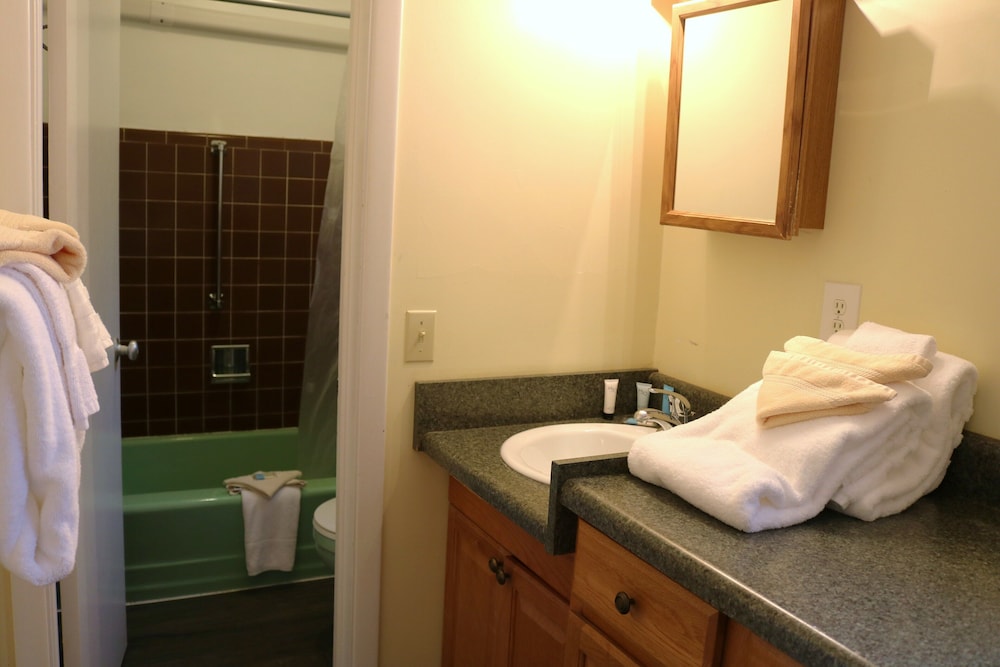 Little Echo Room 304 photo 3