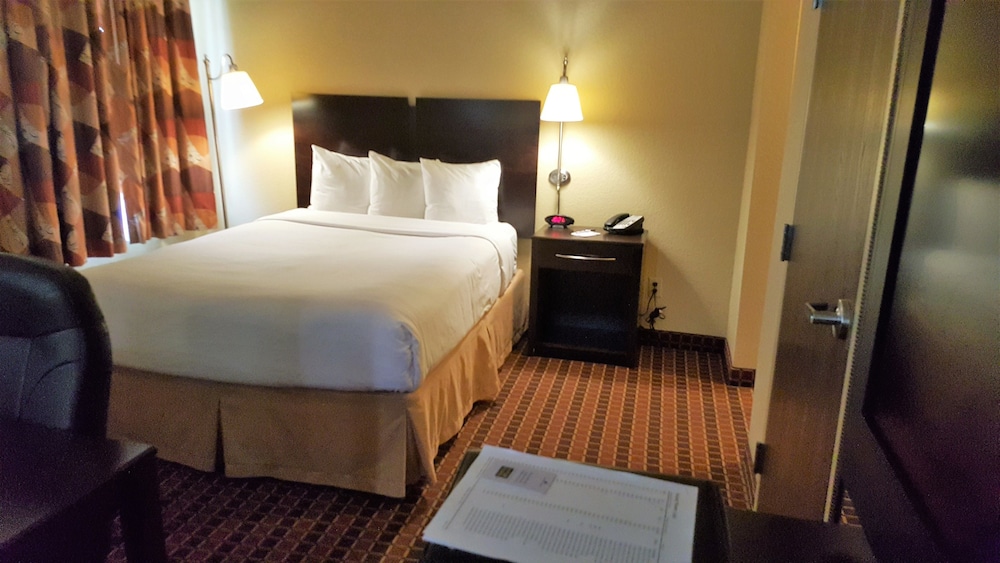Suite, 1 Bedroom, Roll-in Shower
