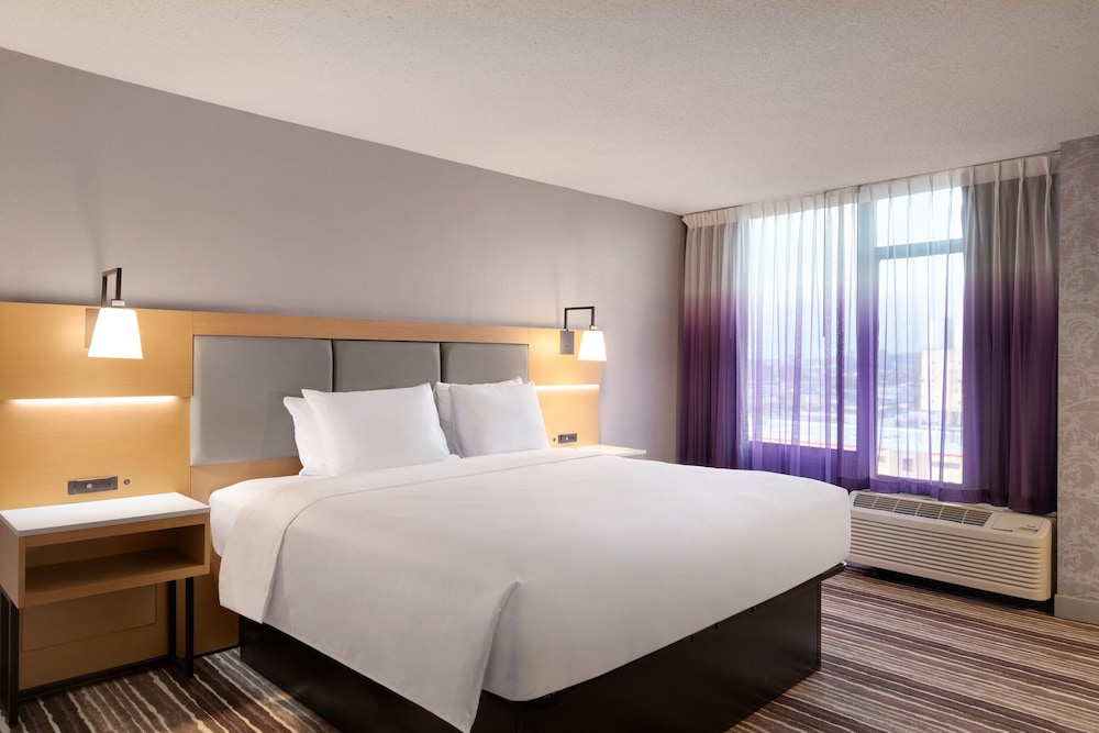 Suite, 1 Bedroom photo 2