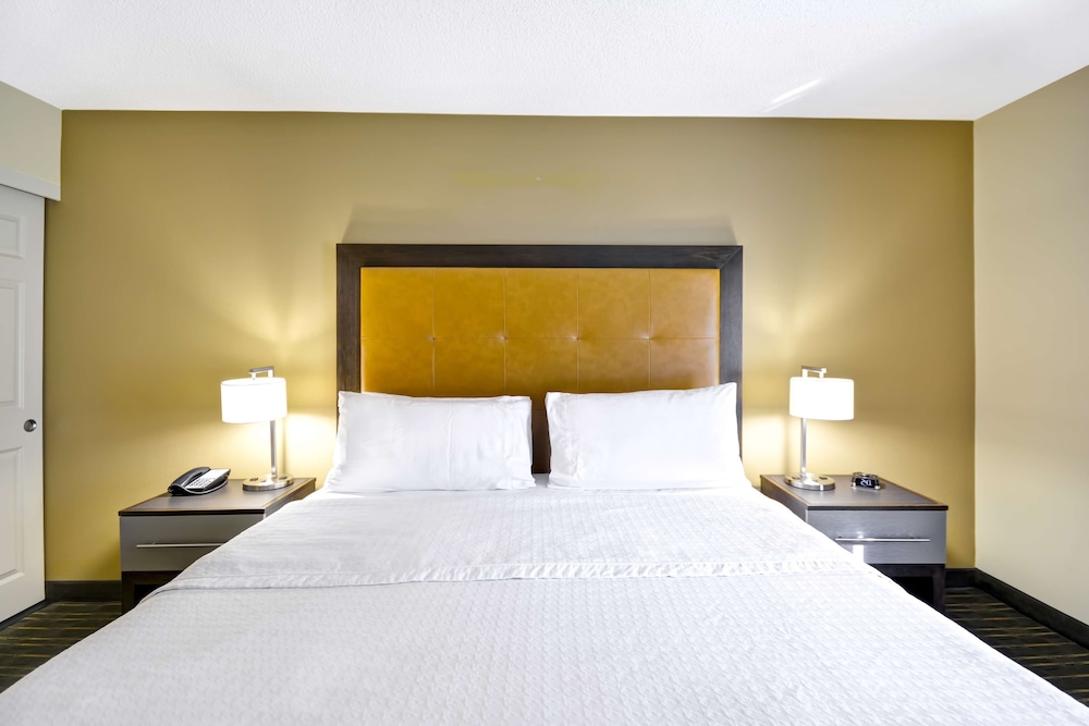 Suite, 1 King Bed photo 1
