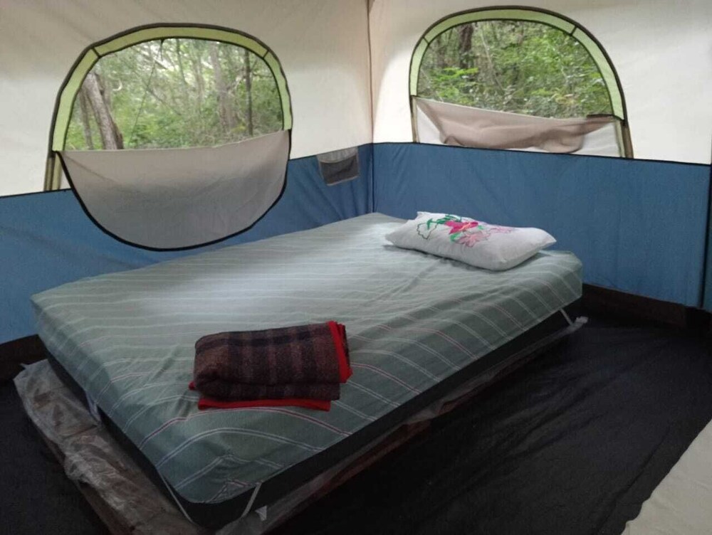 Tent, 2 Queen Beds photo 2