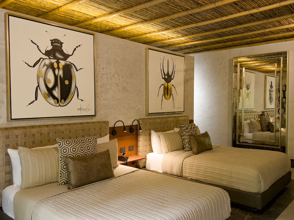 Deluxe Room photo 3