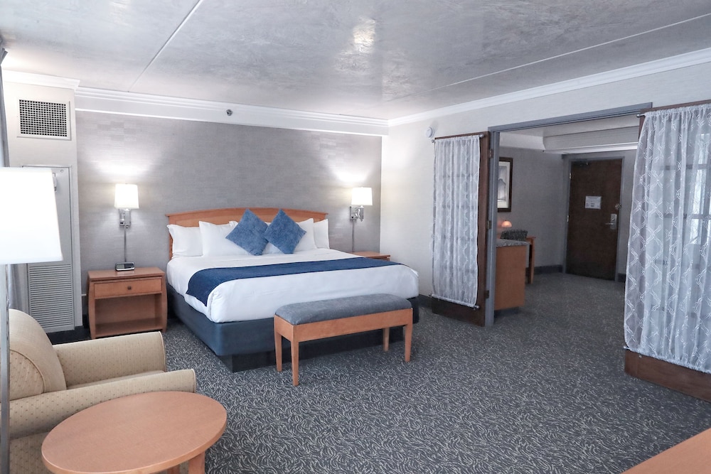 Suite - Photo 2