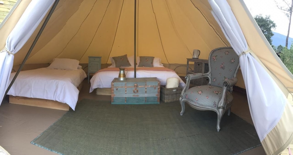 Premium Tent, Multiple Beds photo 3