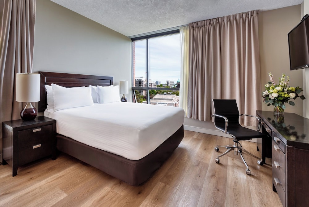 Basic Studio Suite, 1 Queen Bed - Photo 1