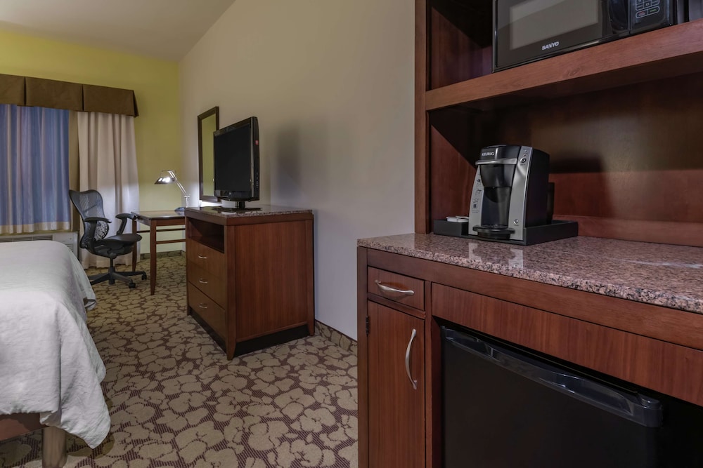 Suite, 1 King Bed, Accessible (Roll-In Shower) - Photo 6