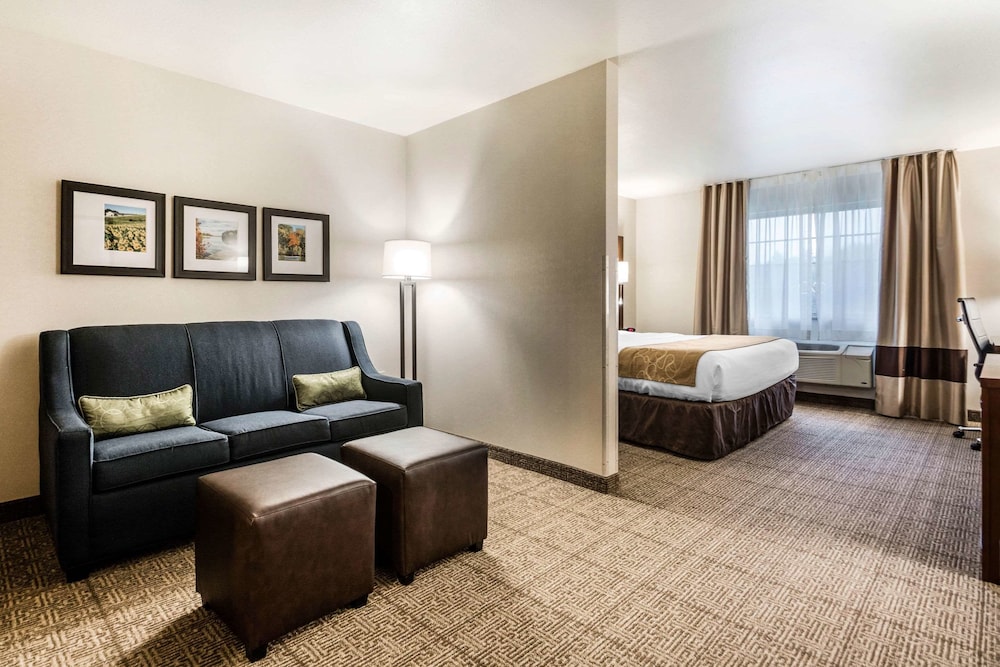 Suite, 1 King Bed, Accessible, Non Smoking - Photo 8