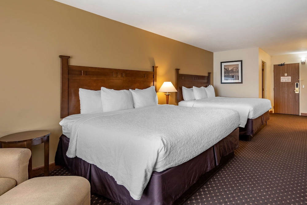 Standard Room, Multiple Beds, Non Smoking, Microwave photo 3