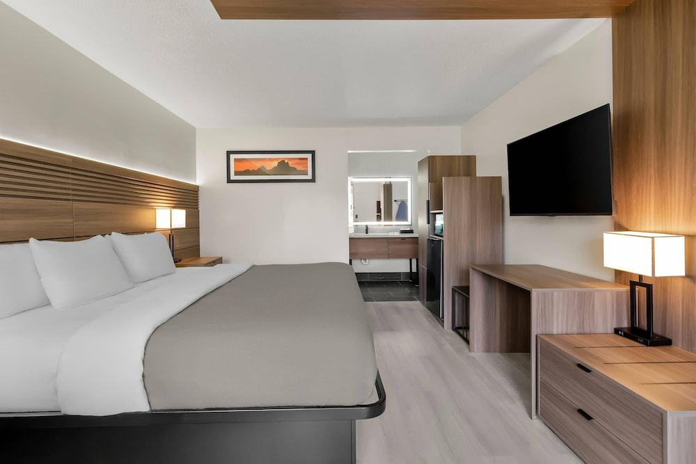 Room, 1 King Bed, Accessible, Non Smoking - Photo 6