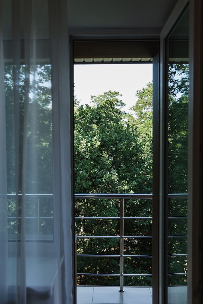 Standard Single Room, Balcony, Park View photo 3