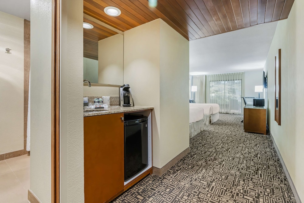Suite, 2 Queen Beds, Refrigerator & Microwave (with Sofabed) - Photo 3