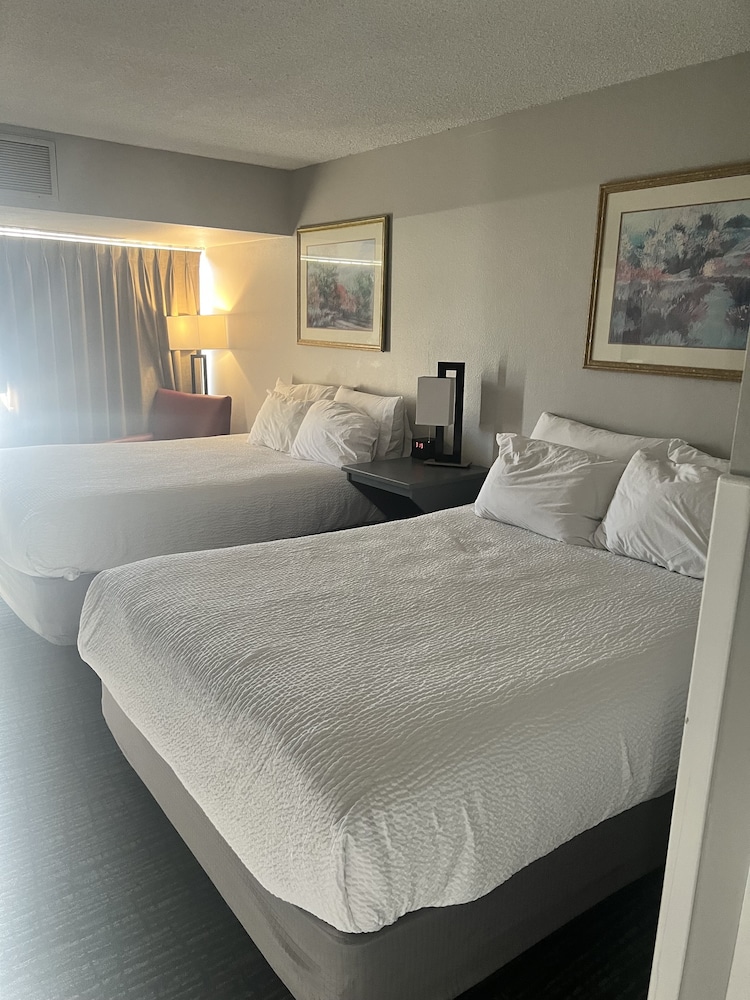 Superior Double Room, 2 Queen Beds, Mountain View photo 1