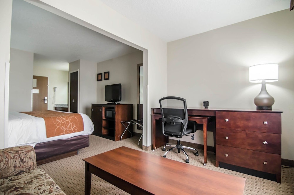 Suite, 1 King Bed, Non Smoking - Photo 9