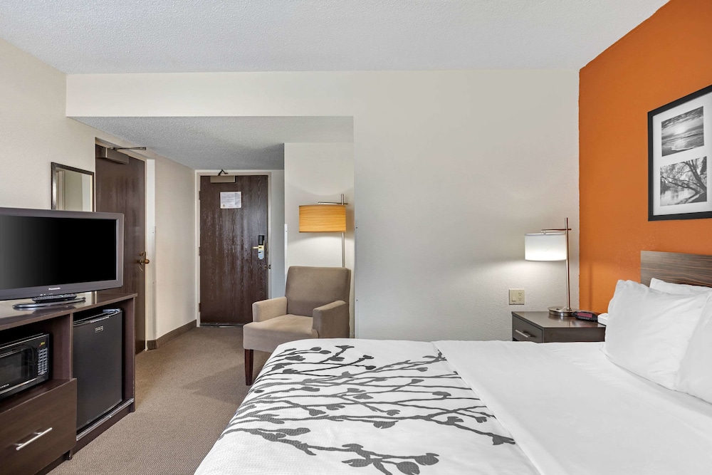 Standard Room, 1 King Bed, Non Smoking - Photo 5