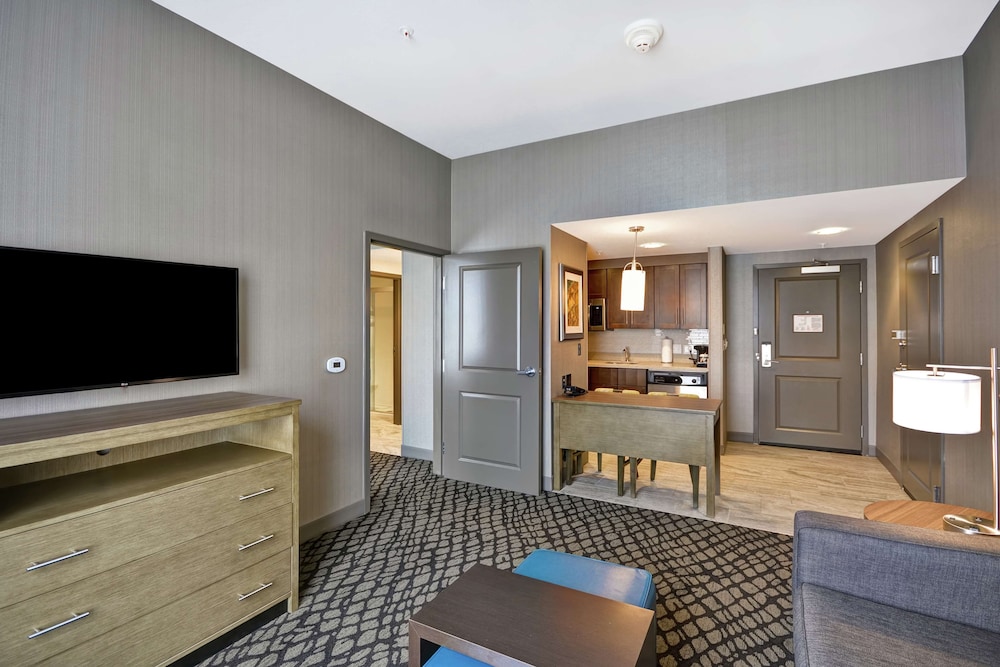Suite, 1 King Bed, Accessible (Roll-In Shower) photo 2