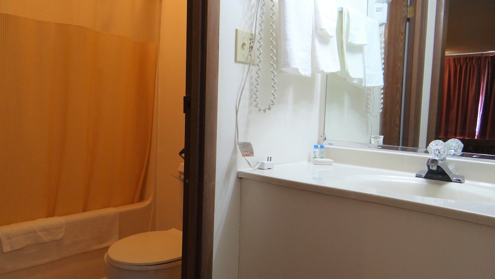 Premium Double Room Single Use photo 3