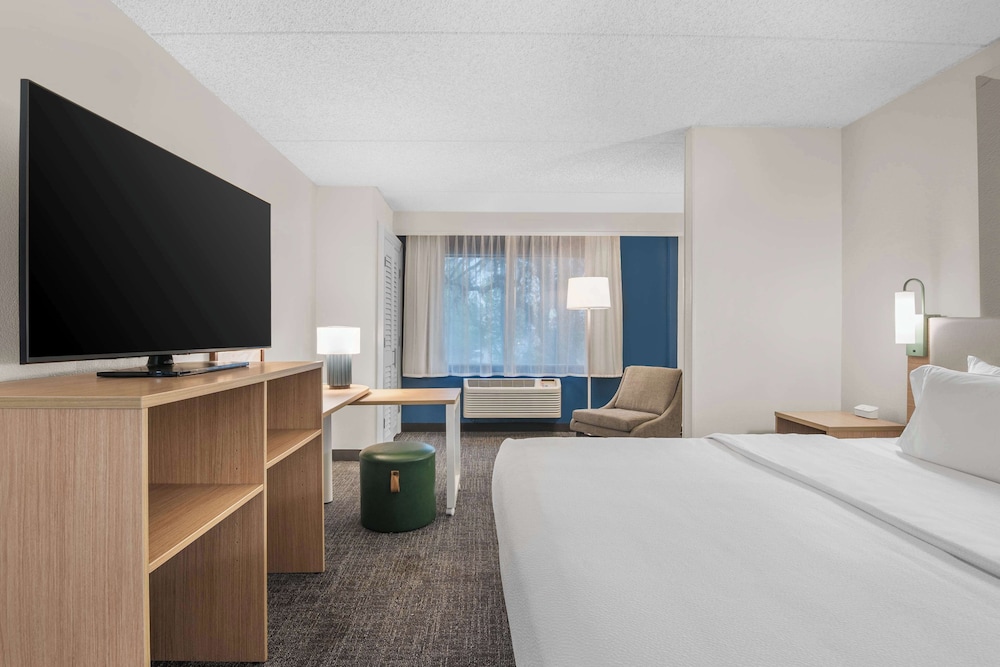 Room, 1 King Bed, Accessible, Bathtub (Mobility, Hearing) - Photo 1