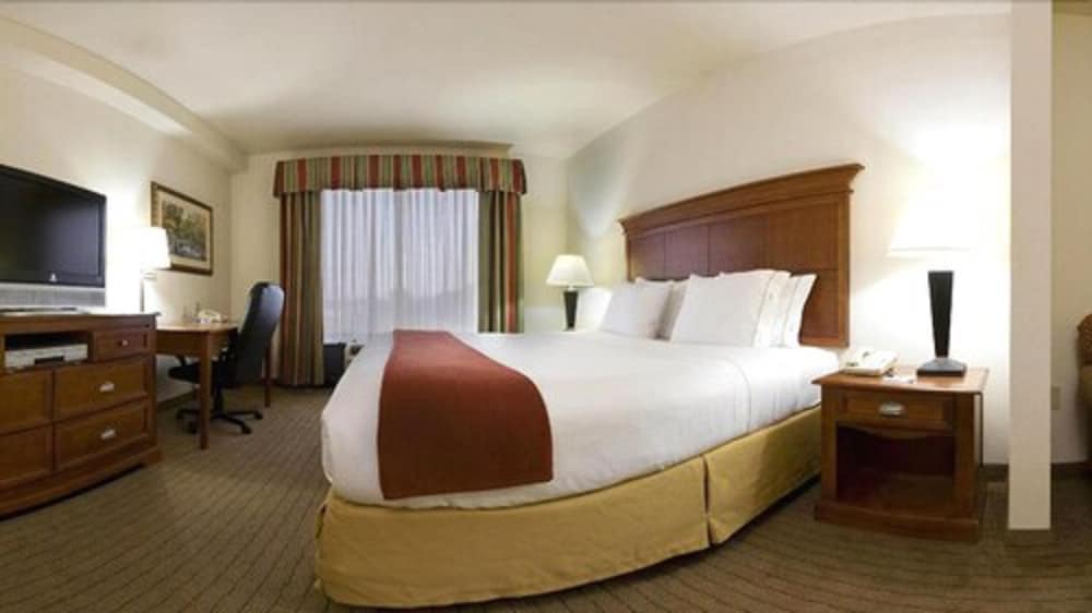 Room, 1 King Bed, Accessible (MOBILITY) - Photo 4